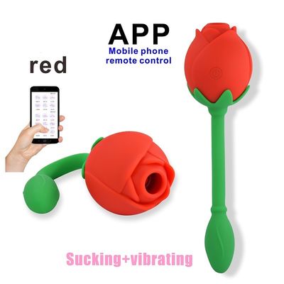 Dispositivo di succhiamento Clitoral di stimolazione del punto G di IPX6 Rose Clitoral Sucker Vibrator Sex Toy Vagina