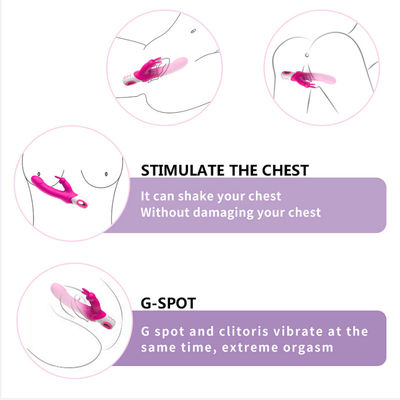 Lo SGS amichevole del punto G di Honey Sex Toys Rabbit Vibrator del dildo del silicone della pelle ha approvato
