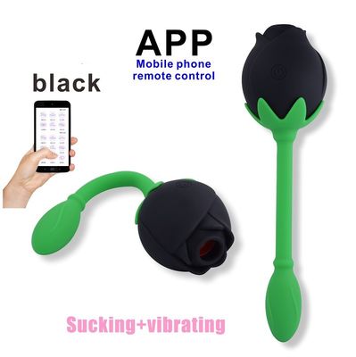 Dispositivo di succhiamento Clitoral di stimolazione del punto G di IPX6 Rose Clitoral Sucker Vibrator Sex Toy Vagina